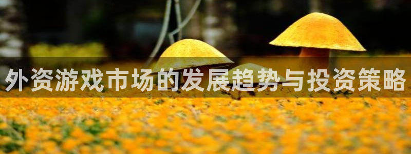 kyl/usdt：外资游戏市场的发展趋势与投资策略