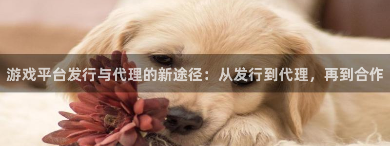 苹果怎么下载usdt：游戏平台发行与代理的新途径：从发行到代理，再到合作