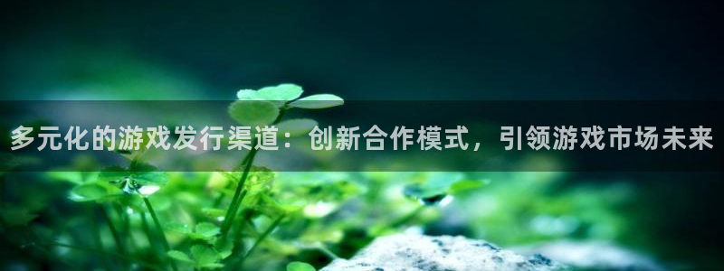 怎么查看usdt地址：多元化的游戏发行渠道：创新合作模式，引领游戏市场未来