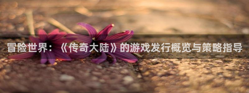 usdt存在钱包哪个种类里：冒险世界：《传奇大陆》的游戏发行概览与策略指导