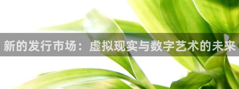 usdt为什么冻结24：新的发行市场：虚拟现实与数字艺术的未来