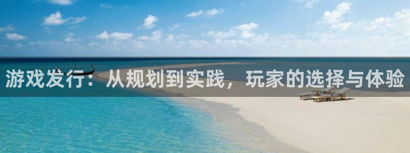 usdt收款地址在哪：游戏发行：从规划到实践，玩家的选择与体验