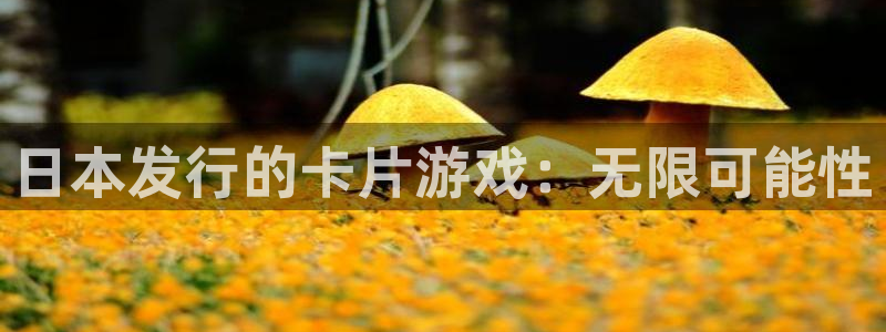usdt钱包imtoken：日本发行的卡片游戏：无限可能性