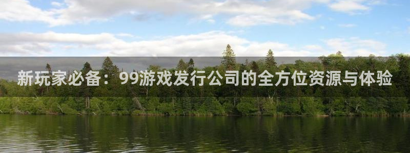 usdt钱包app有哪些：新玩家必备：99游戏发行公司的全方位资源与体验