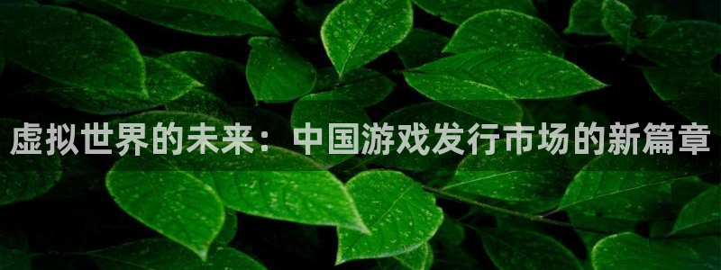 usdt钱包链接在哪看：虚拟世界的未来：中国游戏发行市场的新篇章
