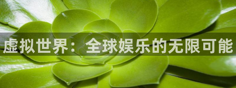 货币usdt如何提现人民币：虚拟世界：全球娱乐的无限可能