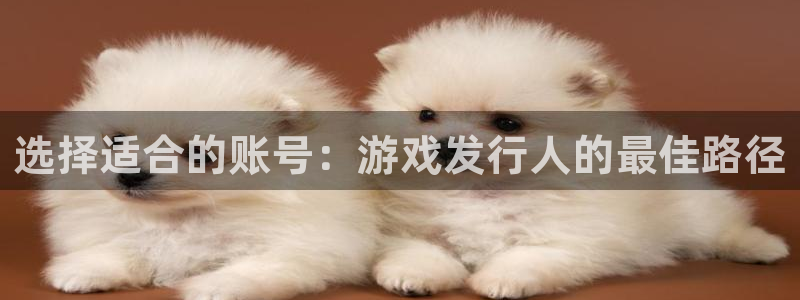usdt为什么被冻结：选择适合的账号：游戏发行人的最佳路径